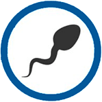 Спермограмма