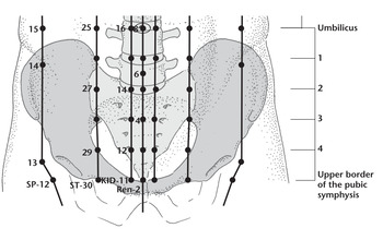 VC8 Шэнь-цюэ (ren 8)