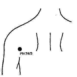 PN74 Ян-сан-чен