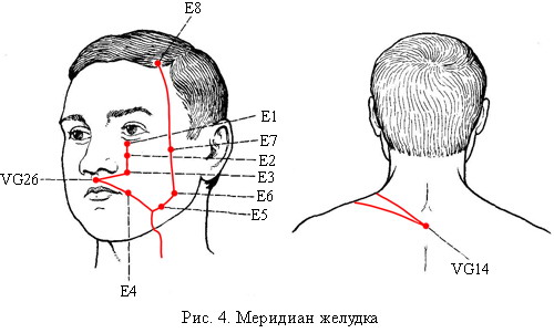 Меридиан желудка (E)